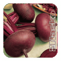 Семена свеклы Чорномор