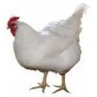 Комбікорм для бройлерів БПК 1-8