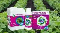 Інокулянт Ризоактив Соя